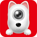 DDPAI Coupon Codes